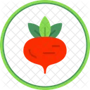 Beet  Icon