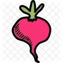 Beet  Icon