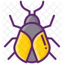 Beetle  Icon