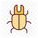 Beetle  Icon