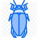 Beetle  Icon