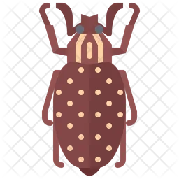 Beetle  Icon