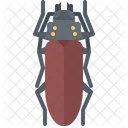 Beetle  Icon