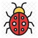 Beetle  Icon