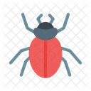 Beetle  Icon