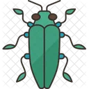 Beetle Jewel Insect Icon