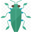 Beetle Jewel Insect Icon