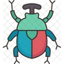 Beetle Rainbow Insect 아이콘