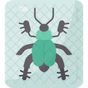 Beetle Insect Arthropod 아이콘