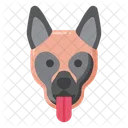 Belgian Malinois Pet Dog Dog Symbol