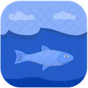 Beluga  Icono