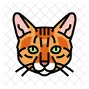 Bengal Cat  Icon