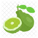 Bergamot  Icon