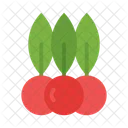 Berries  Icon