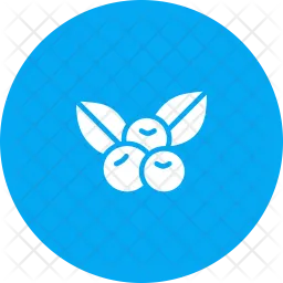 Berries  Icon