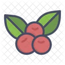 Berries  Icon