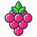 Berries  Icon