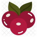 Berries  Icon