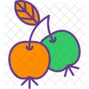 Berries  Icon