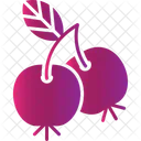 Berries  Icon