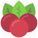 Berries  Icon