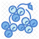 Berries  Icon