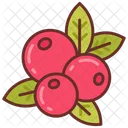 Berries  Icon