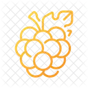 Berry Food Fruit Icon