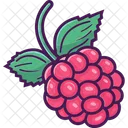 Berries  Icon