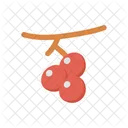 Berry  Icon