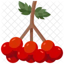 Viburnum Fruit Juicy Vegan Icon