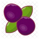 Berry Fruit Cherry Icon