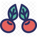 Berry Cherry Mistletoe Icon