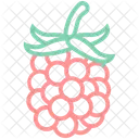 Berry Cherry Fruit Icon