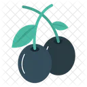 Berry Cherry Fruit Icon