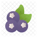 Berry  Icon