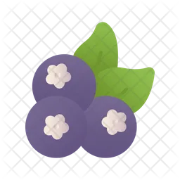 Berry  Icon