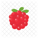 Berry Fruit Food Icon