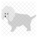 Hunderassen Hundearten Hund Symbol