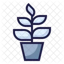 Big plant  Icon