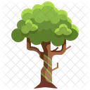 Big Tree  Icon