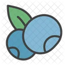 Bilberry Berry Organic Icon