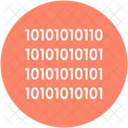 Binary Code Data Icon