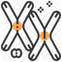 Biology Chemistry Chromosome Icon