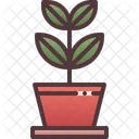 Biology Botany Bio Icon