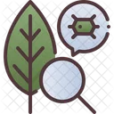 Biology Botany Bio Icon