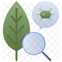 Biology  Icon