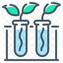 Biology Botany Experiment Icon