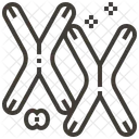Biology Chemistry Chromosome Icon