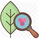 Biology  Icon